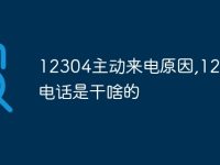 12304主动来电原因,12304电话是干啥的-路由网