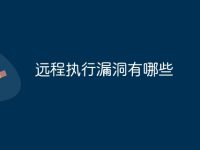 远程执行漏洞有哪些-路由网