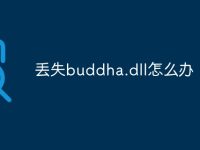 丢失buddha.dll怎么办-路由网