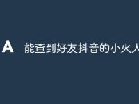 能查到好友抖音的小火人嘛-路由网
