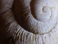Shell语法详解-路由网