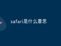 safari是什么意思-路由网