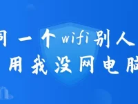 同一WiFi下别人能上网而我不能，检查电脑网络设置。-路由网