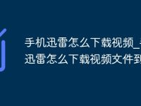 手机迅雷怎么下载视频_手机迅雷怎么下载视频文件到本地-路由网
