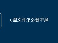 u盘文件怎么删不掉-路由网