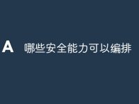 哪些安全能力可以编排-路由网