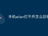 手机wlan打不开怎么回事-路由网