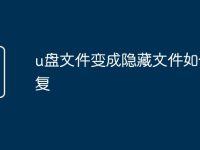 u盘文件变成隐藏文件如何恢复-路由网