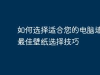 如何选择适合您的电脑墙壁?最佳壁纸选择技巧-路由网