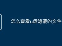 怎么查看u盘隐藏的文件-路由网