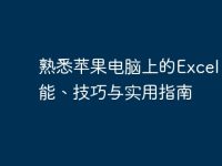 熟悉苹果电脑上的Excel：功能、技巧与实用指南-路由网