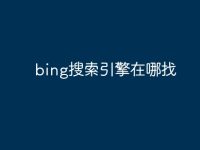 bing搜索引擎在哪找-路由网