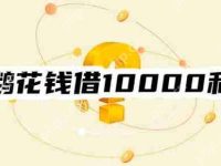 小鹅花钱借10000的利息是多少?举例计算!利息算法一览-路由网