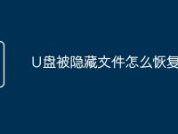 U盘被隐藏文件怎么恢复-路由网