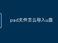 pad文件怎么导入u盘-路由网