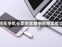 如何在手机谷歌浏览器中启用实验功能-路由网