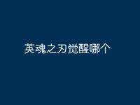 英魂之刃觉醒哪个-路由网