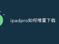 ipadpro如何增量下载-路由网