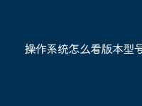 操作系统怎么看版本型号-路由网