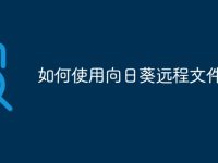 如何使用向日葵远程文件传输-路由网