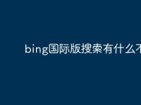 bing国际版搜索有什么不同-路由网