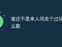 谁还不是来人间走个过场是什么歌-路由网
