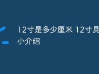 12寸是多少厘米 12寸具体大小介绍-路由网