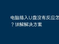 电脑插入U盘没有反应怎么办?详解解决方案-路由网