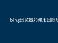bing浏览器如何用国际版-路由网