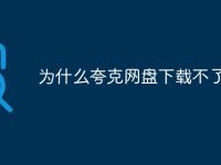为什么夸克网盘下载不了-路由网