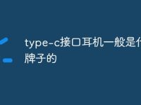 type-c接口耳机一般是什么牌子的-路由网