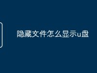 隐藏文件怎么显示u盘-路由网