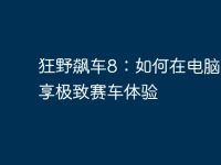 狂野飙车8：如何在电脑上畅享极致赛车体验-路由网
