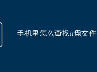 手机里怎么查找u盘文件-路由网