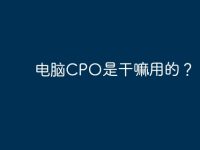 电脑CPO是干嘛用的?-路由网