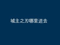 城主之刃哪里进去-路由网