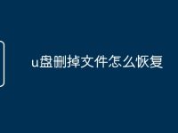u盘删掉文件怎么恢复-路由网