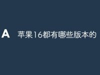 苹果16都有哪些版本的-路由网
