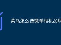 菜鸟怎么选微单相机品牌-路由网