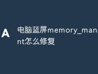 电脑蓝屏memory_management怎么修复-路由网
