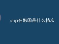 snp在韩国是什么档次-路由网