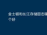 金士顿和长江存储固态硬盘哪个好-路由网