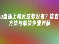 u盘插上啥反应都没有？排查方法与解决步骤详解-路由网
