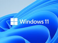 win11新机如何跳过联网激活-路由网