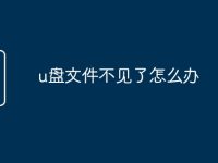 u盘文件不见了怎么办-路由网