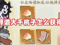 寻道大千桃子怎么获得-路由网