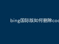 bing国际版如何删除cookie-路由网