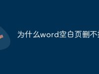 为什么word空白页删不掉-路由网