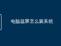 电脑蓝屏怎么装系统-路由网