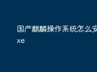国产麒麟操作系统怎么安装exe-路由网